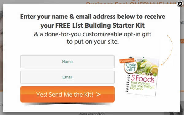 health-coaches-opt-in-gift - AccessAlly Opt-in Gift for Health Coaches