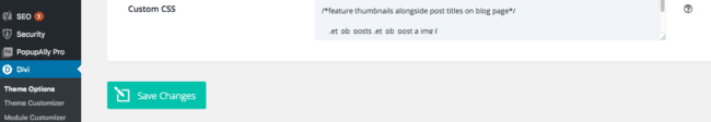 Divi Custom CSS Edit Screen
