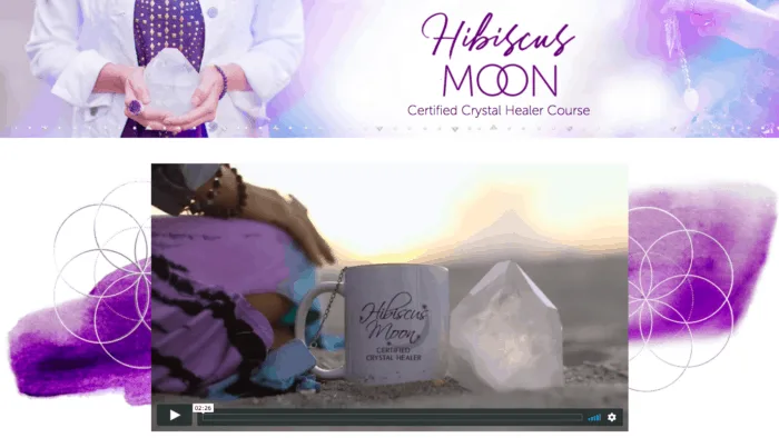 A screenshot of Hibiscus Moon's video page