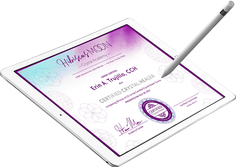 features like automated course certificates,Hibiscus Moon example certificate