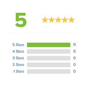 AccessAlly has a 5 star rating Icon