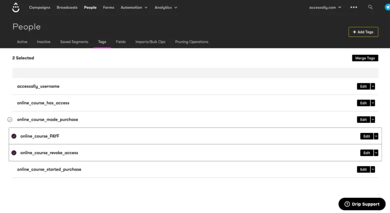Drip Tags - AccessAlly Drip tags screenshot
