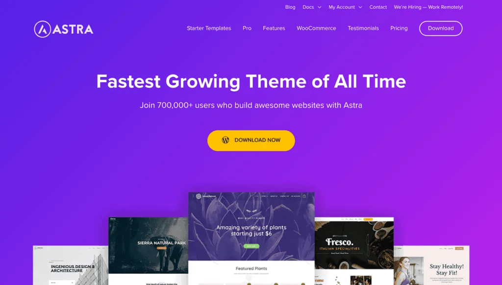 Astra Theme Website Screenshot