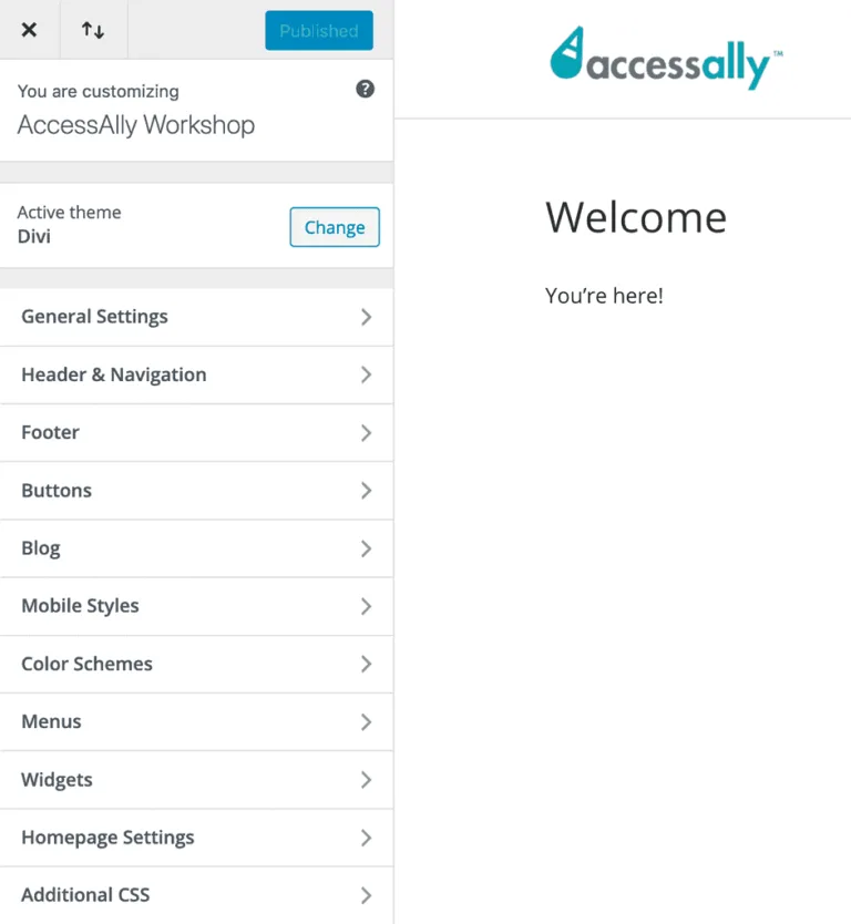 Screenshot of Theme Customization Settings