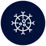 AccessAlly Ecosystem Immune System Image