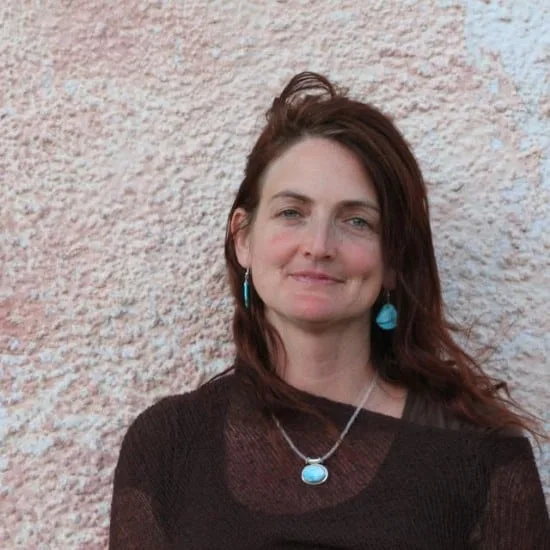 Julie Blankespoor - AccessAlly Julie Blankespoor AccessAlly testimonial