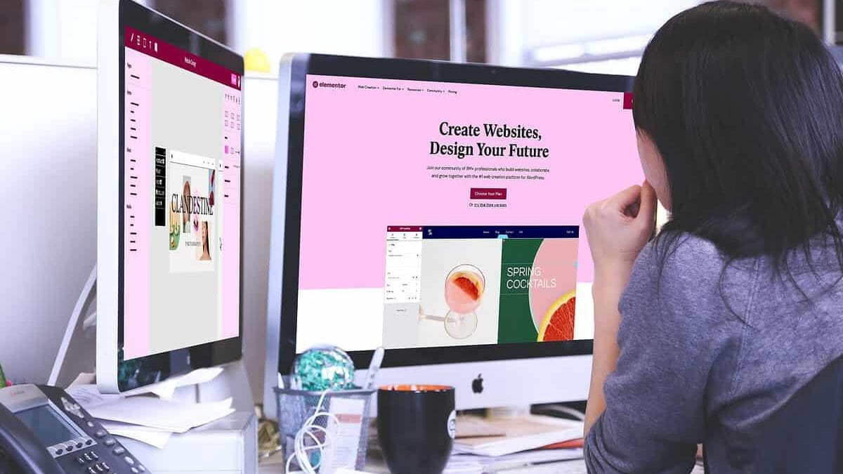 elementor - AccessAlly Desktop showing elementor theme