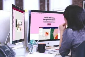 Desktop showing elementor theme