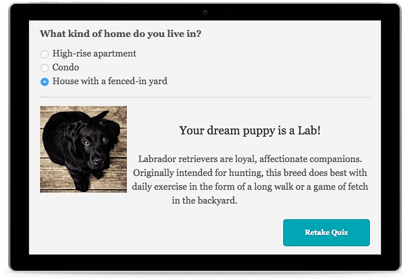 create and quiz and create quiz results screenshot