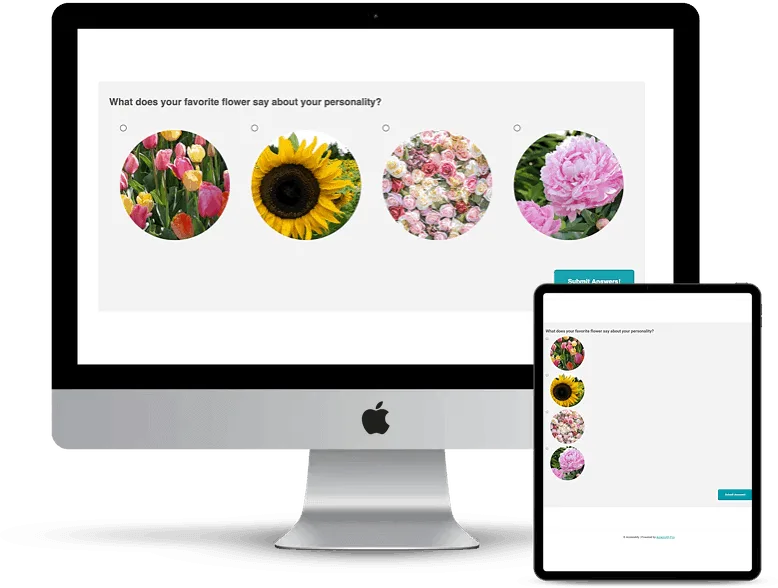 Create a quiz - quiz examples - screenshot
