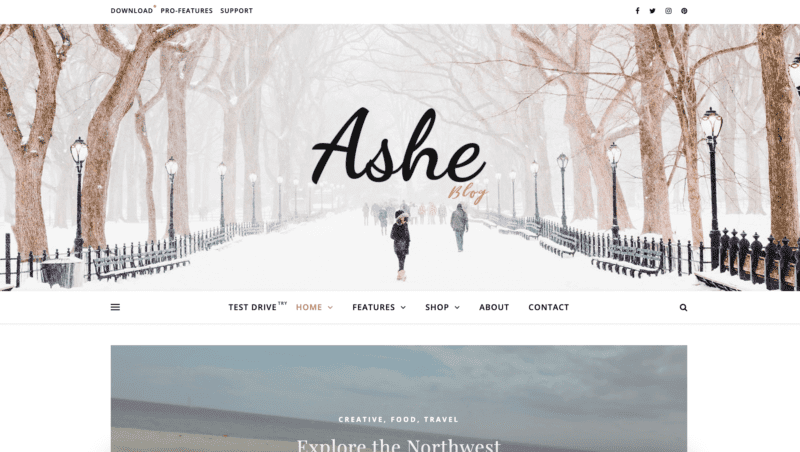 Ashe demo site. Minimalistic with feminine style. Background is a snowy walk in the park. Large header font is cursive.