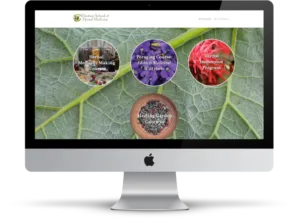 Computer with the Chestnut School members area dashboard