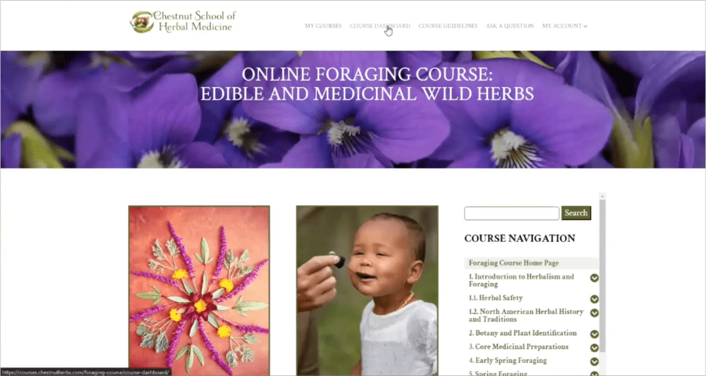 Screenshot of Chestnut School Foraging Course Page