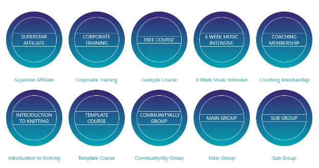 A screenshot of the course demos you can get from AccessAlly. There are 10 circles in blue on the page. 