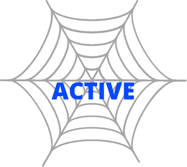 Web Active Logo