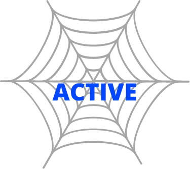 webactive-logo - AccessAlly Web Active Logo
