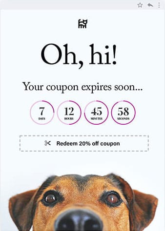 countdown timer coupon example - AccessAlly