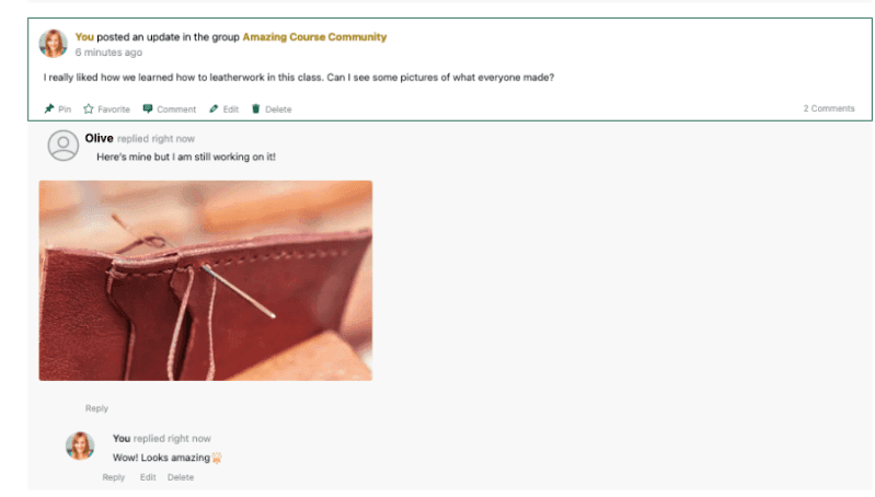 CleanShot-2023-08-31-at-153400 - AccessAlly Example of a Group Feed made using CommunityAlly