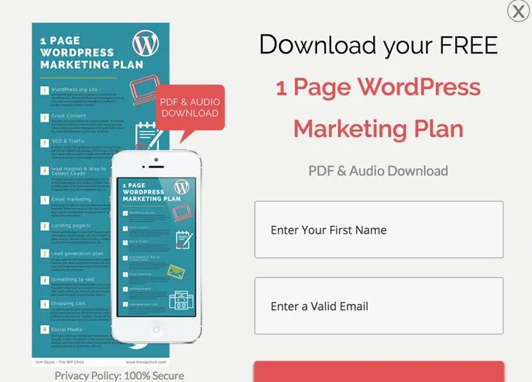 checklist lead magnet idea example - AccessAlly