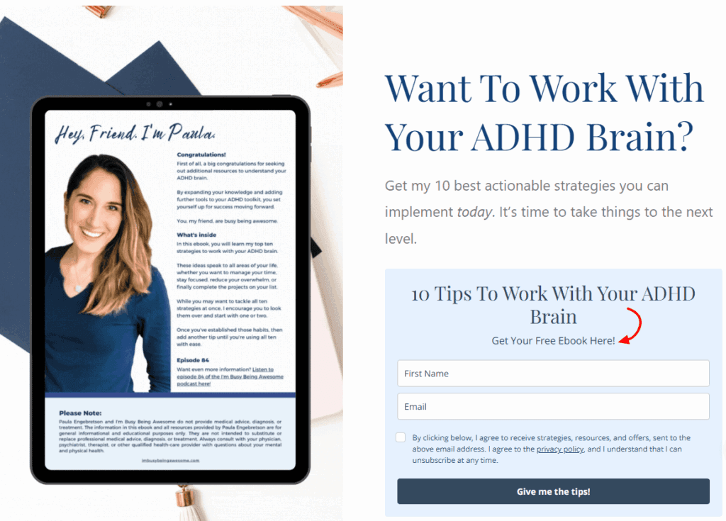 I'm Busy Being Awesome eBook Lead Magnet Example