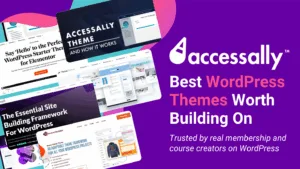 Best WordPress Themes Worth Building On_AccessAlly Blog